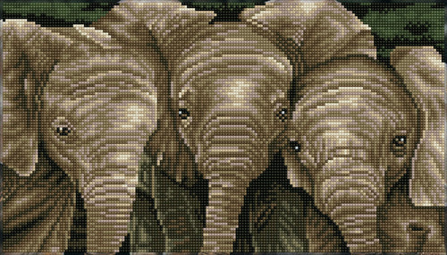Trunk Call Elephant