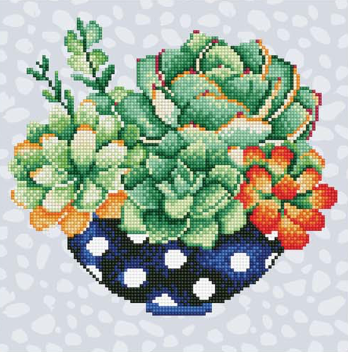 Succulent Bowl