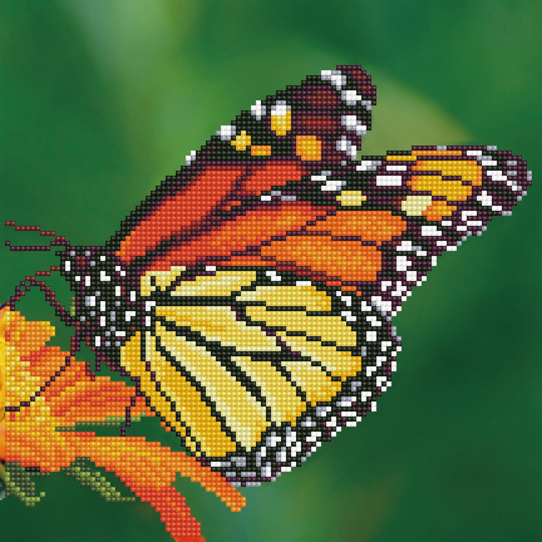 Monarch