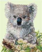 Koala and Eucalyptus Blossom
