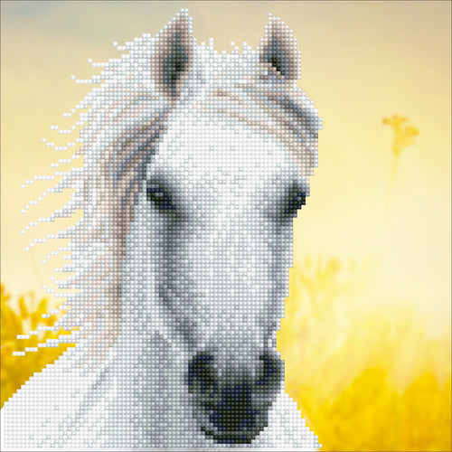 White Horse