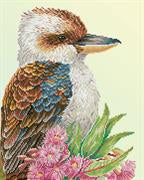 Kookaburra and Gum Blossom