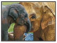 SQUARE DOTS PREFRAMED ELEPHANT BABY COMFORT