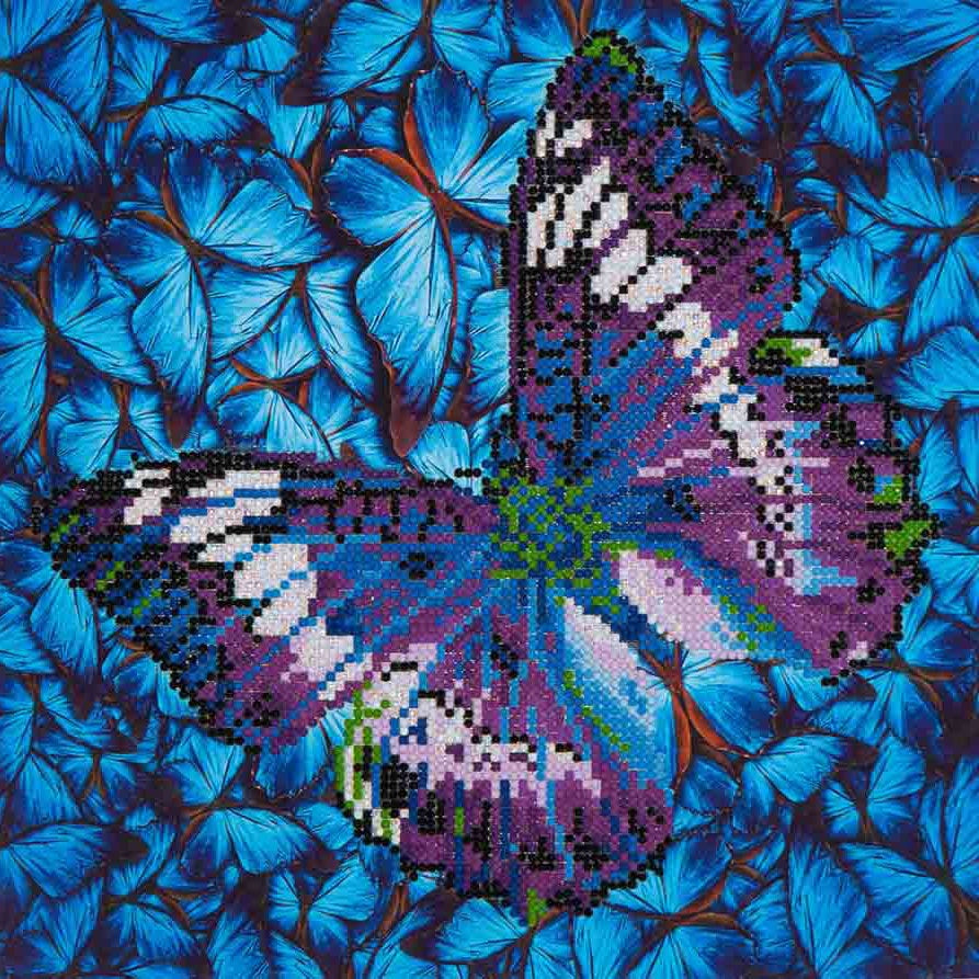 Flutter by Mauve Butterfly