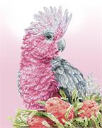 Pink Galahs and Banksias