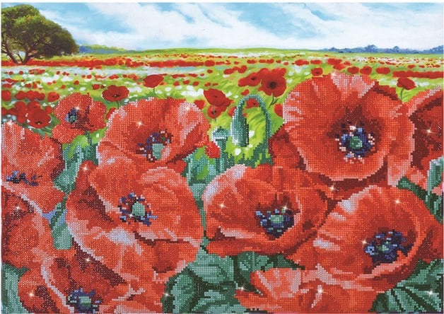 Red Poppy Field